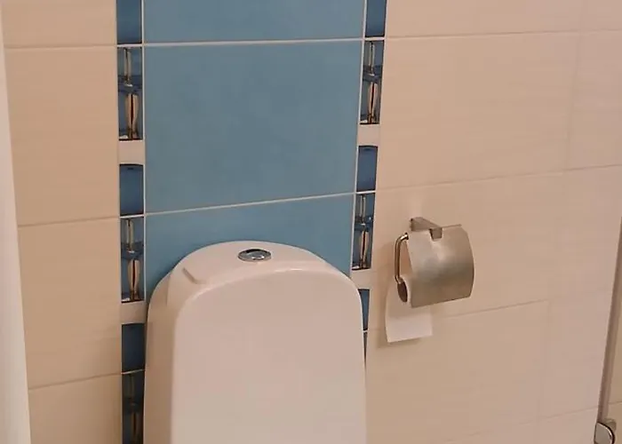 Restful Place In Free Parking Daire Palanga